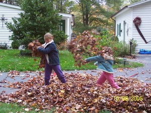 Play in the Leaves