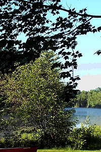 View to your right the path to Secord Lake!